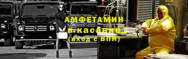 ГАЛЛЮЦИНОГЕННЫЕ ГРИБЫ Балахна