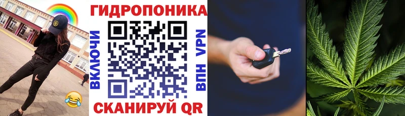 Шишки марихуана ГИДРОПОН  дарнет шоп  Лесосибирск 